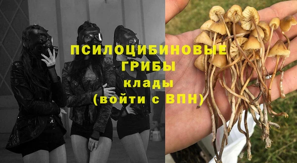 ГАЛЛЮЦИНОГЕННЫЕ ГРИБЫ Козельск