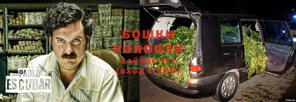 стафф Дмитриев