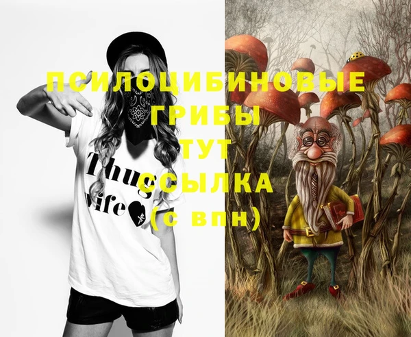 прущая мука Осинники