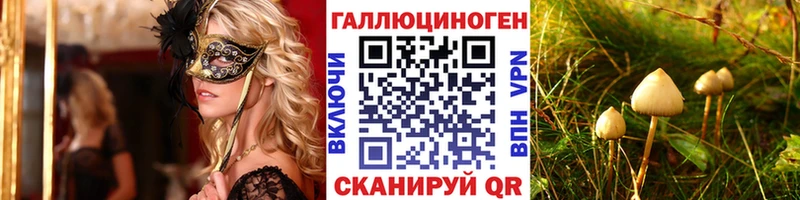 KRAKEN ONION  Химки  Галлюциногенные грибы мицелий  наркота 