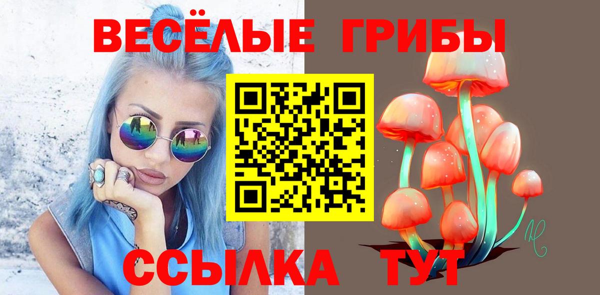 Псилоцибиновые грибы мицелий Химки